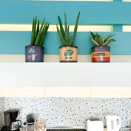 Gypsea Soul By Holidays Fuerteventura Corralejo